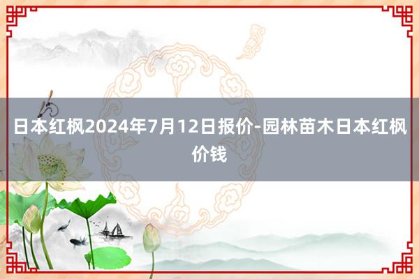 日本红枫2024年7月12日报价-园林苗木日本红枫价钱